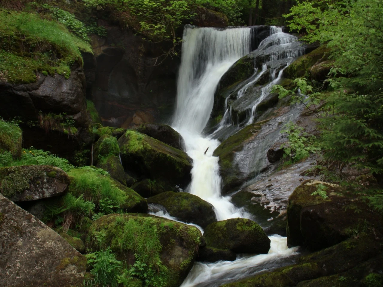 Cascadas de Triberg, Selva Negra
